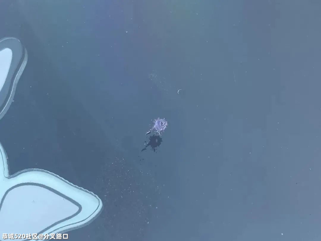 网红烟花，全部下架884 / 作者:分叉路口 / 帖子ID:282494