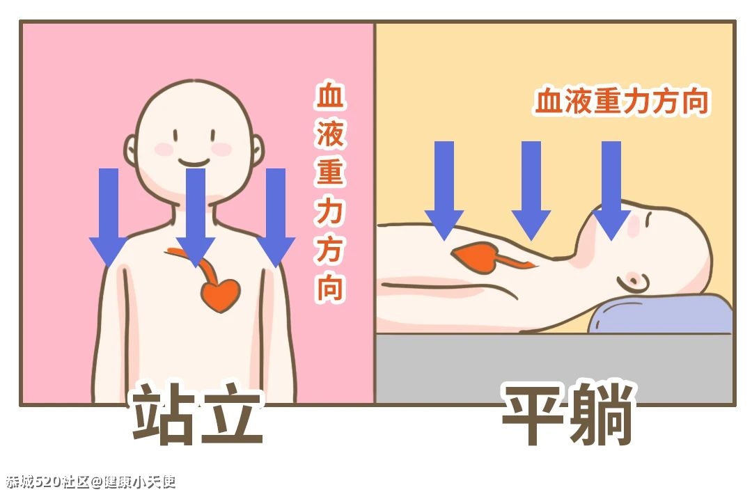 为什么女生早上起床容易肿？原来这才是真相……264 / 作者:健康小天使 / 帖子ID:282637