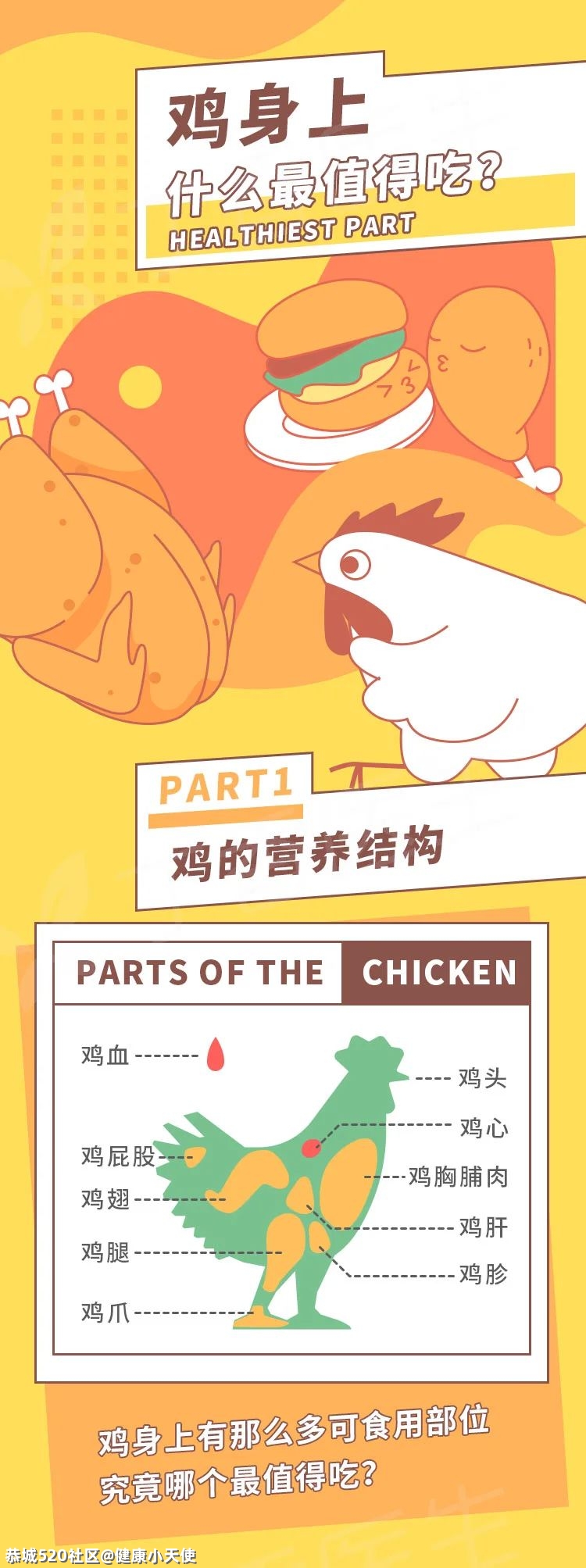 鸡身上有那么多部位，究竟哪个最值得吃？83 / 作者:健康小天使 / 帖子ID:282678
