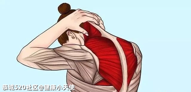 “拉筋”拉的到底是什么？不同人群各有「最佳拉伸法」620 / 作者:健康小天使 / 帖子ID:282735