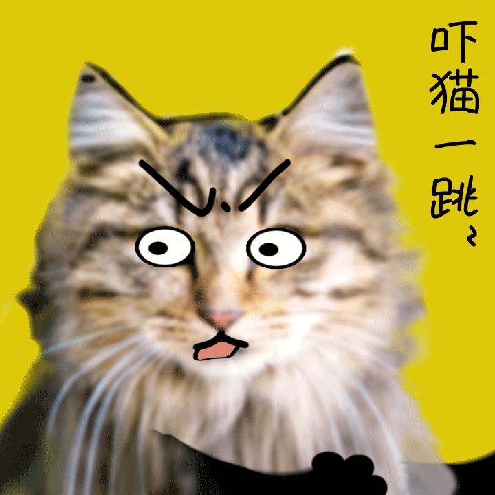 怀孕就要和猫咪说拜拜吗？不能让可爱的喵星人背锅！778 / 作者:健康小天使 / 帖子ID:282829