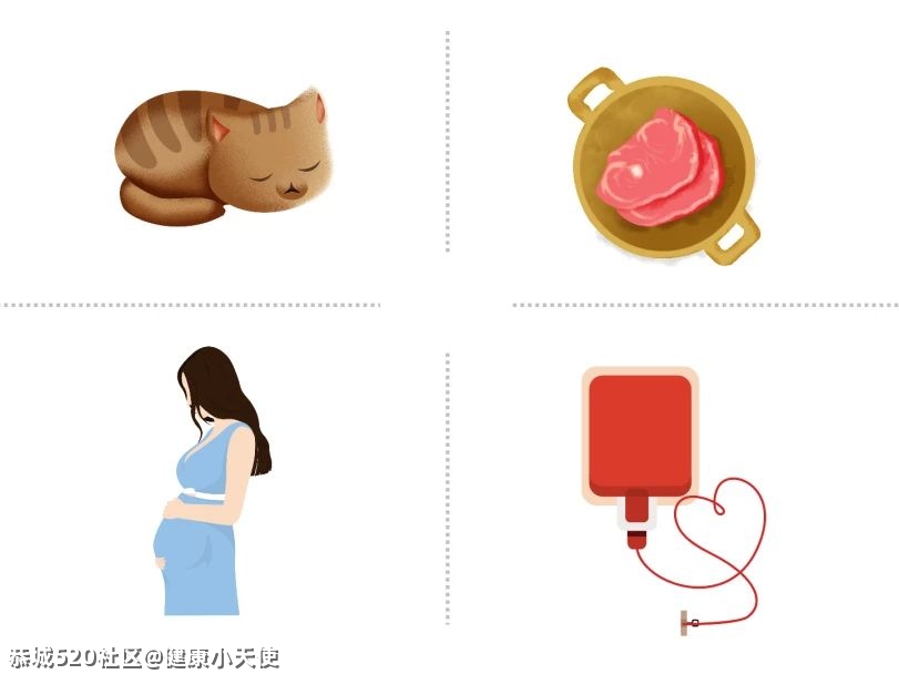 怀孕就要和猫咪说拜拜吗？不能让可爱的喵星人背锅！777 / 作者:健康小天使 / 帖子ID:282829