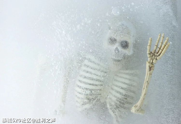 人死后，意识能留存多久？看完涨知识……280 / 作者:胜利之声 / 帖子ID:282840