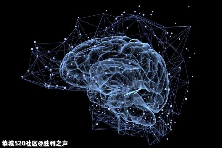 人死后，意识能留存多久？看完涨知识……490 / 作者:胜利之声 / 帖子ID:282840