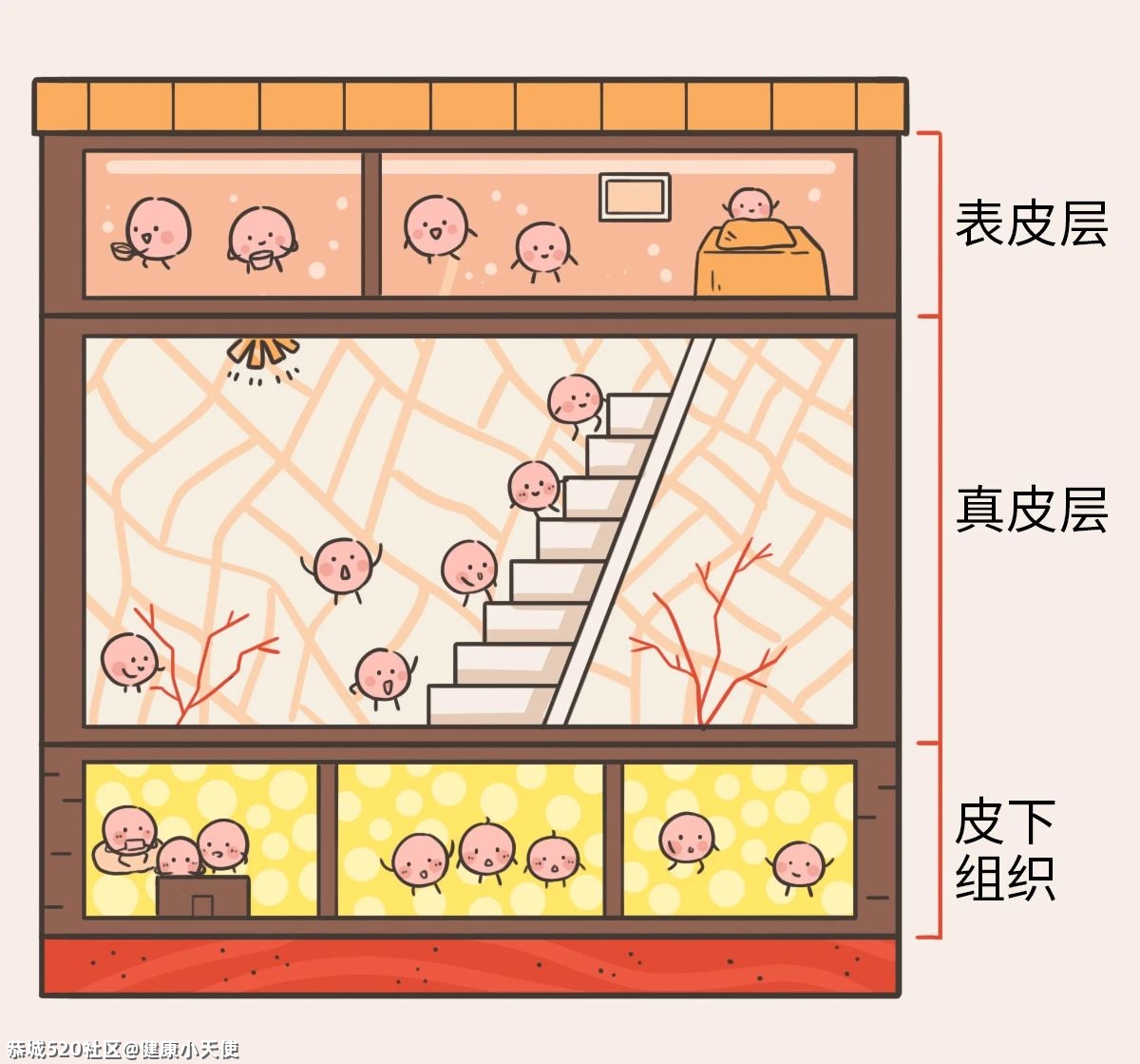 泛红、敏感、瘙痒，面对皮肤敏感怎么办？603 / 作者:健康小天使 / 帖子ID:283012