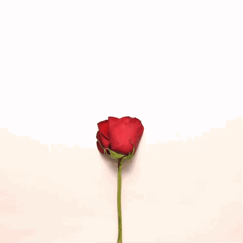 【三八节专刊】你好，恭城警花！570 / 作者:论坛小编01 / 帖子ID:283083