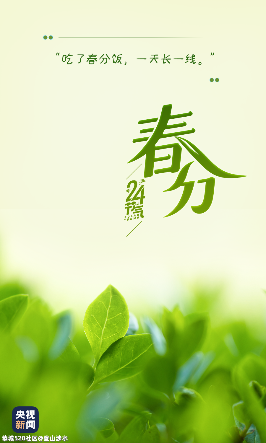 春分至，莫负好时光！491 / 作者:登山涉水 / 帖子ID:283466