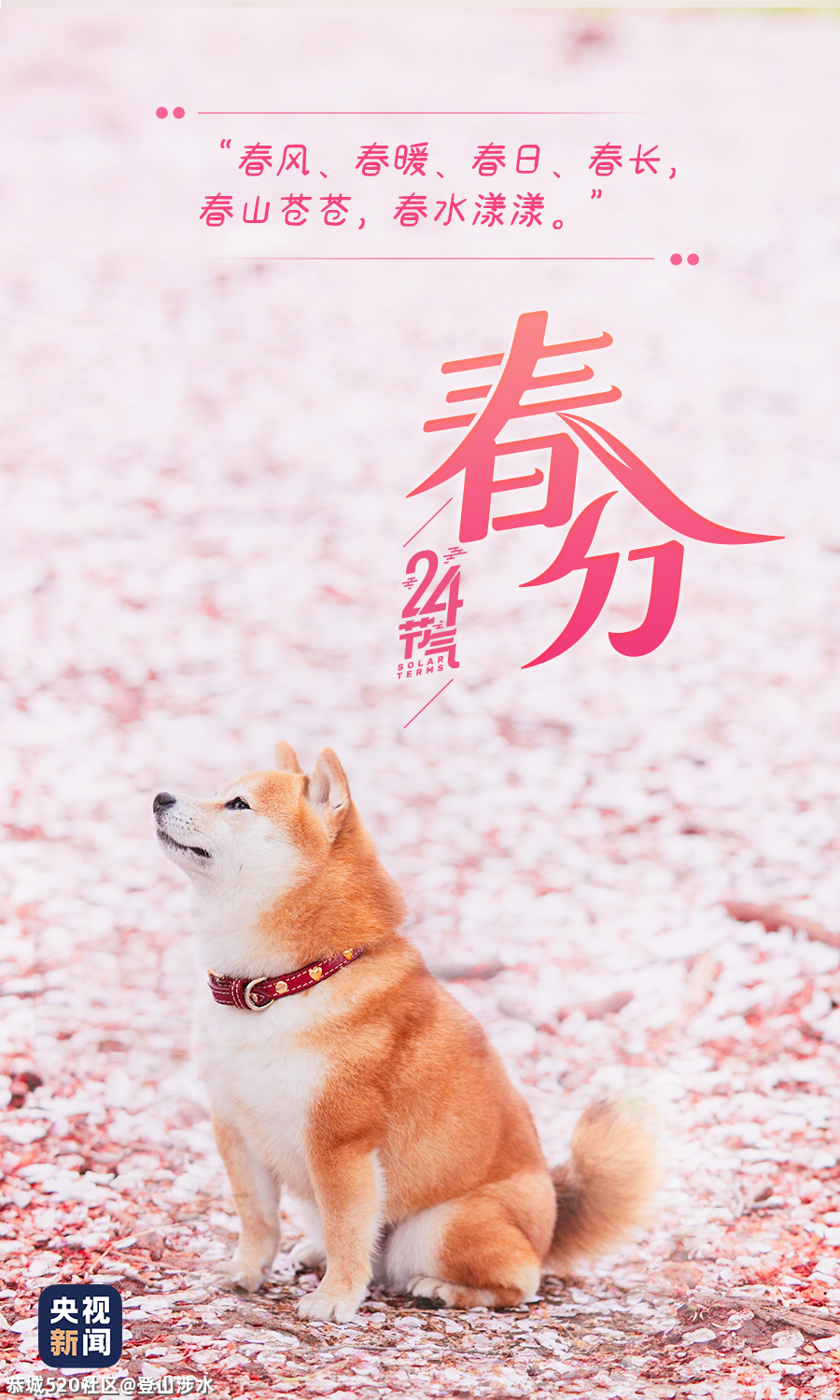 春分至，莫负好时光！646 / 作者:登山涉水 / 帖子ID:283466