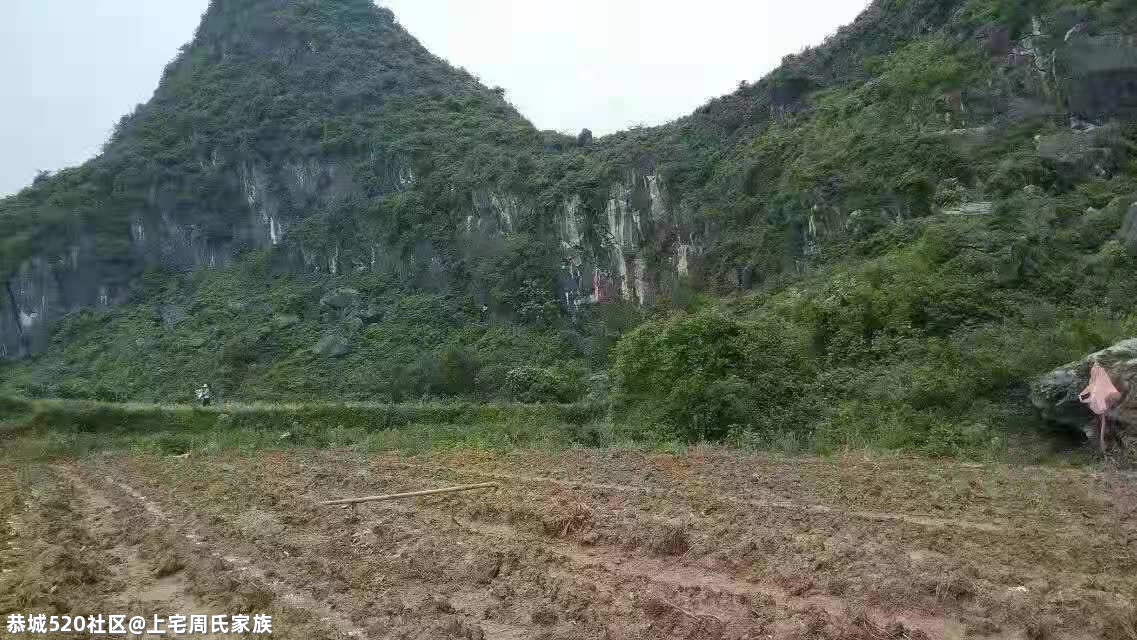 谁来守护栗木上宅村的绿水青山？413 / 作者:上宅周氏家族 / 帖子ID:283474