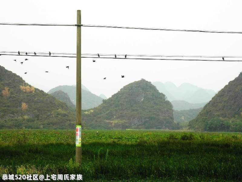 谁来守护栗木上宅村的绿水青山？246 / 作者:上宅周氏家族 / 帖子ID:283474