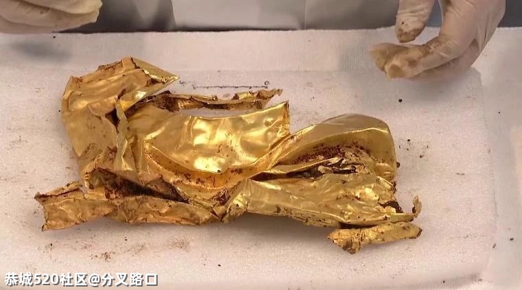 “太土豪了！”重大发现沸了！实拍震撼世界的谜518 / 作者:分叉路口 / 帖子ID:283476
