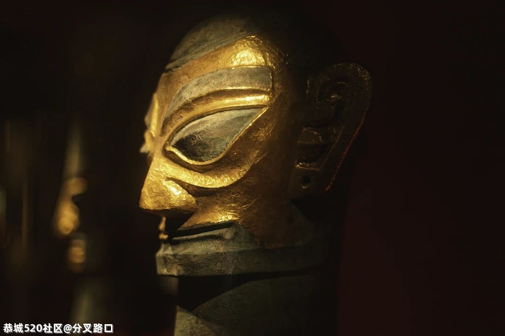 “太土豪了！”重大发现沸了！实拍震撼世界的谜211 / 作者:分叉路口 / 帖子ID:283476