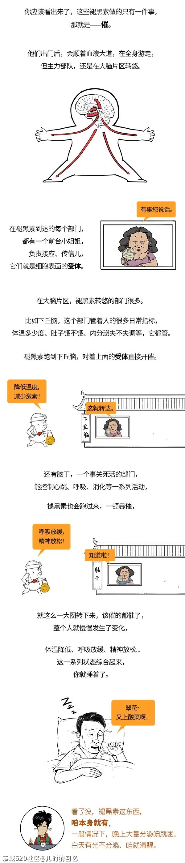 褪黑素不美白，甚至都不治失眠！743 / 作者:儿时的回忆 / 帖子ID:283501