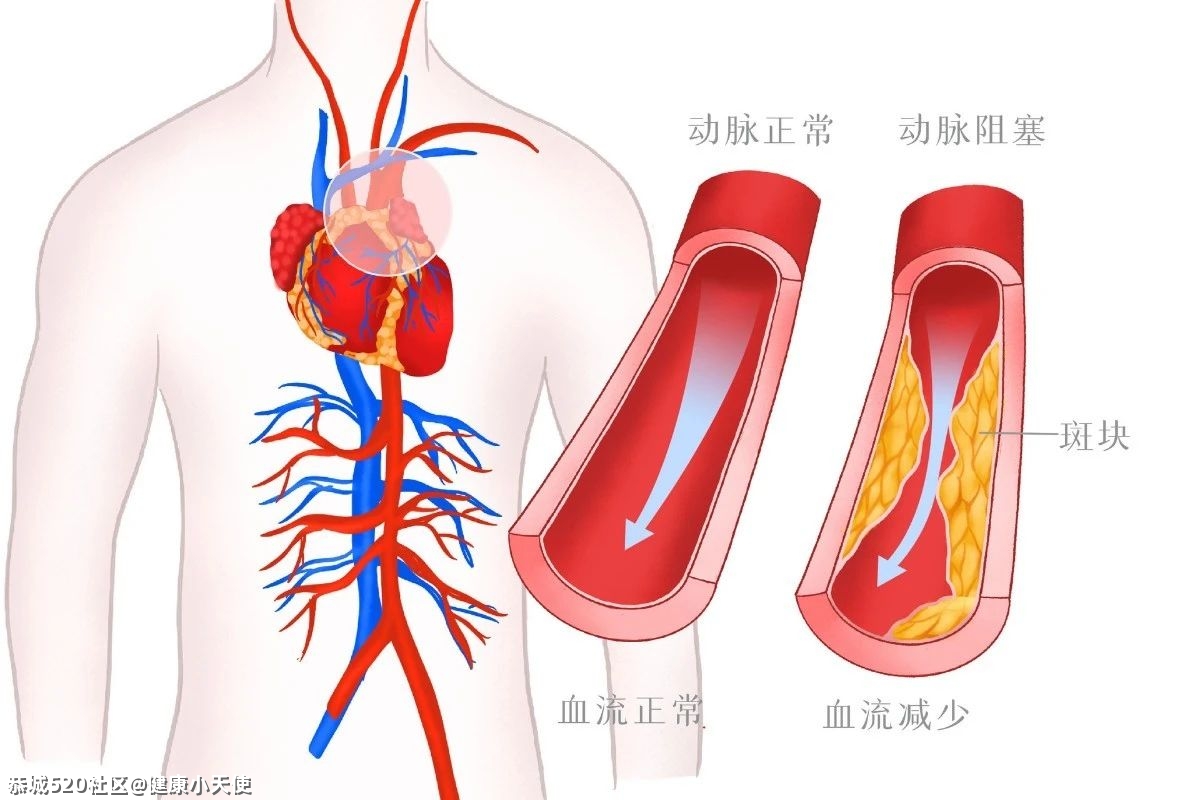 十大健康谣言，你听过几条？588 / 作者:健康小天使 / 帖子ID:283524