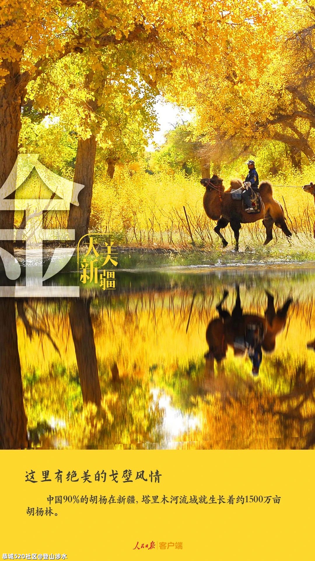 给点颜色看看，你就知道新疆有多美了！698 / 作者:登山涉水 / 帖子ID:283719