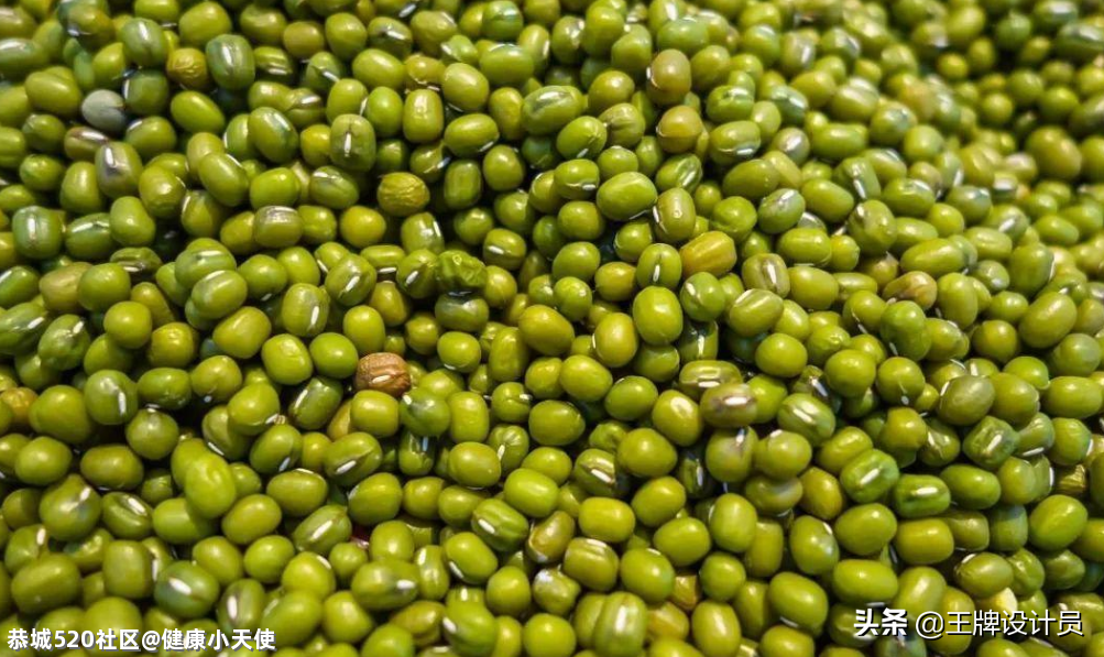 枕头填充物不同，你的睡眠质量也会跟着不同！赶紧来了解一下~648 / 作者:健康小天使 / 帖子ID:283823