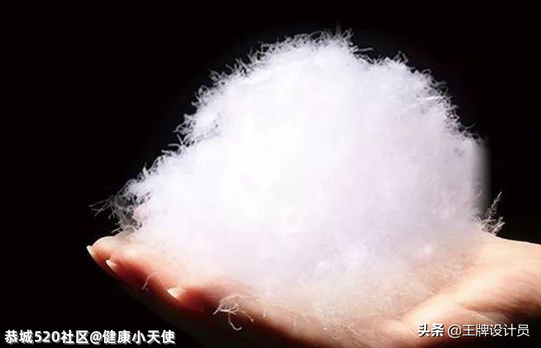 枕头填充物不同，你的睡眠质量也会跟着不同！赶紧来了解一下~203 / 作者:健康小天使 / 帖子ID:283823