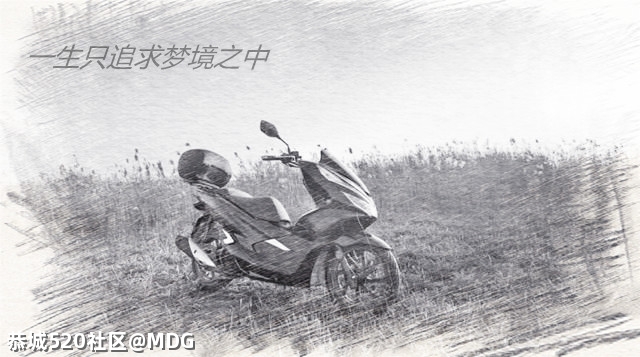 MDG摩旅走起之【雷劈石】962 / 作者:MDG / 帖子ID:283900