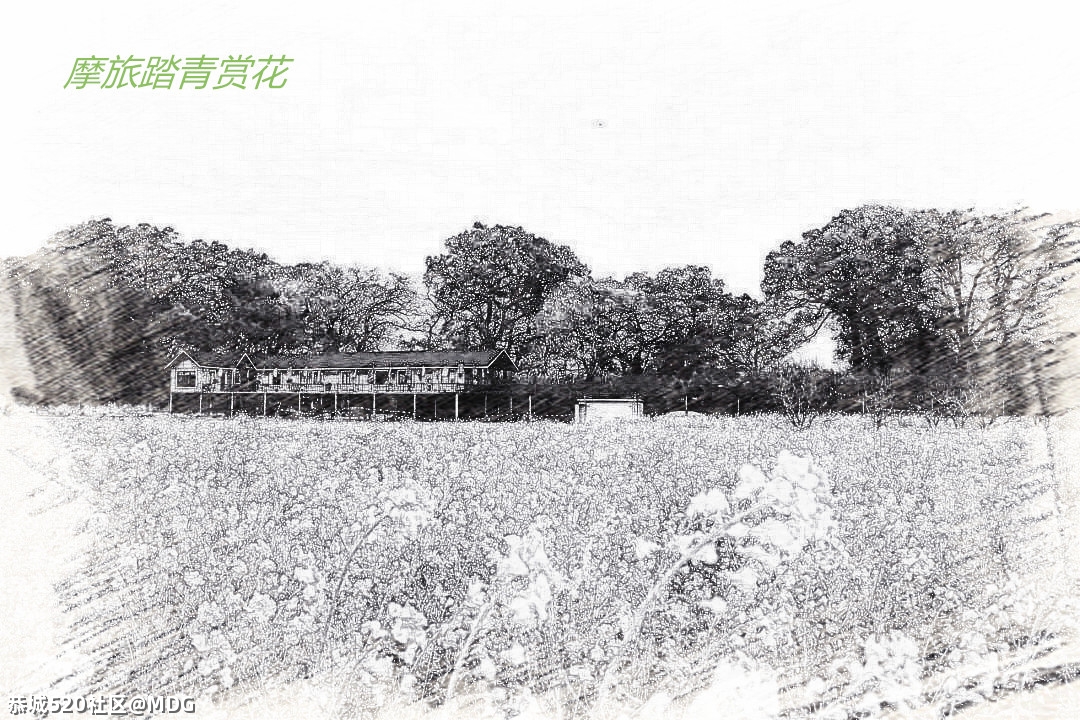 这两天天气转冷又下雨影响出游啊627 / 作者:MDG / 帖子ID:283979