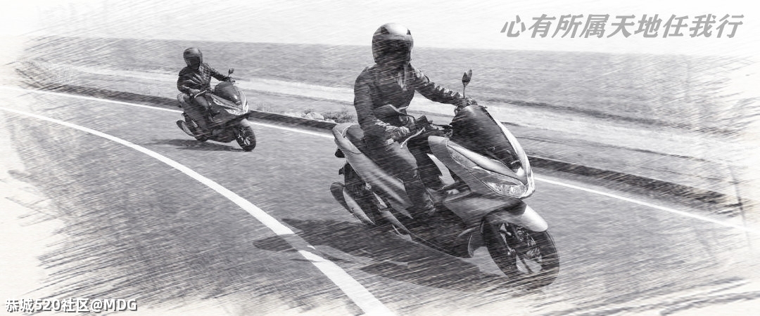 MDG摩旅走起之【雷劈石】858 / 作者:MDG / 帖子ID:283900