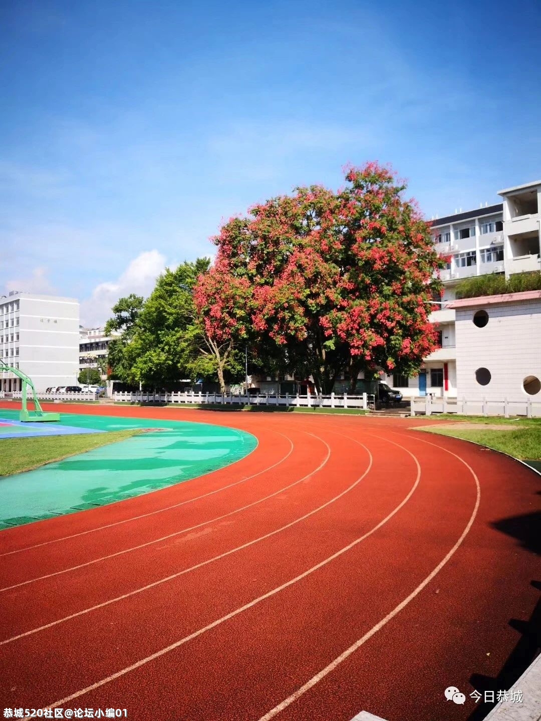 277个教师岗位，2021年恭城瑶族自治县向您发出诚挚邀约！783 / 作者:论坛小编01 / 帖子ID:284158