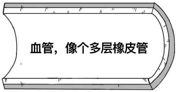 你的血管，就是这样堵的！999 / 作者:健康小天使 / 帖子ID:284196