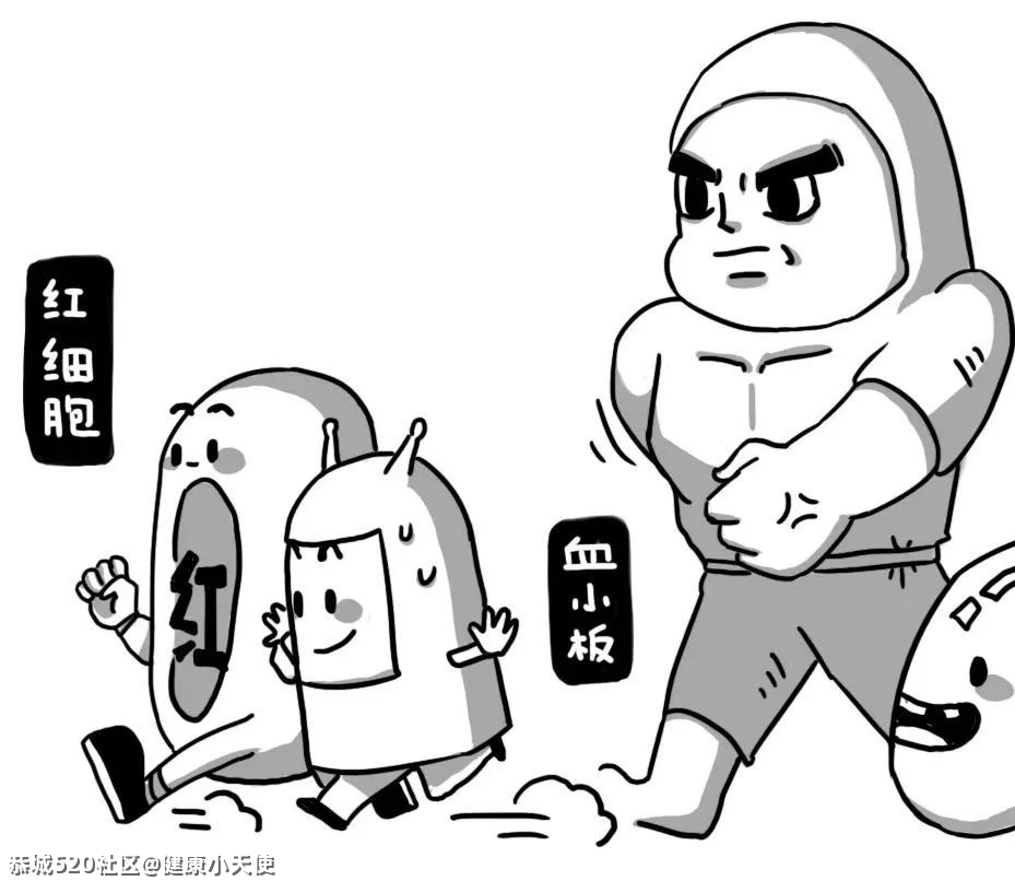 你的血管，就是这样堵的！7 / 作者:健康小天使 / 帖子ID:284196