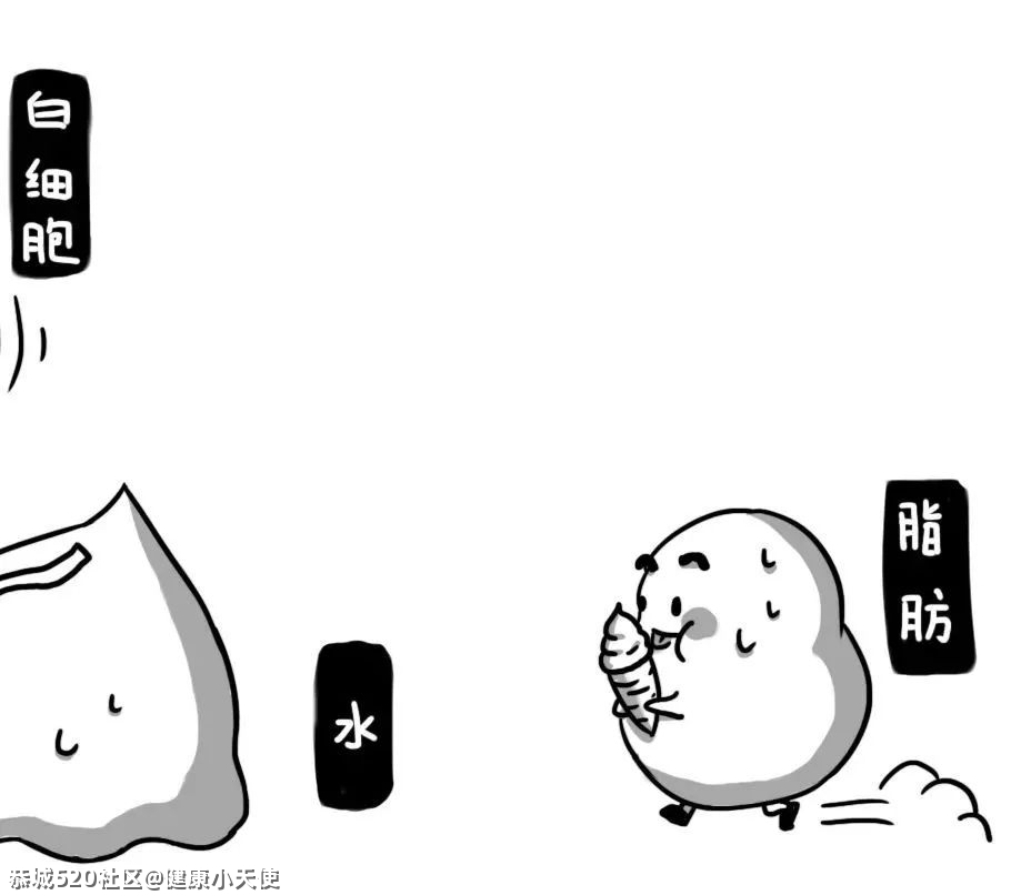你的血管，就是这样堵的！901 / 作者:健康小天使 / 帖子ID:284196