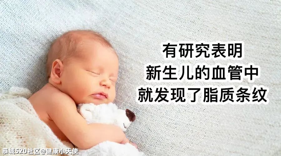你的血管，就是这样堵的！678 / 作者:健康小天使 / 帖子ID:284196