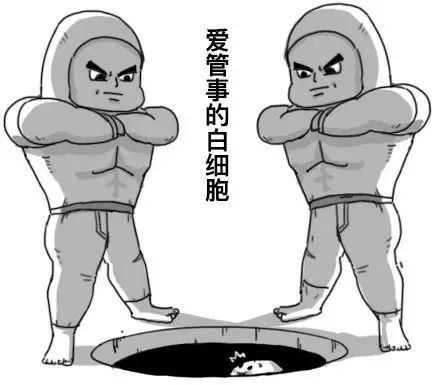 你的血管，就是这样堵的！241 / 作者:健康小天使 / 帖子ID:284196