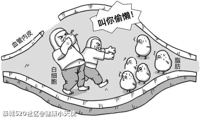 你的血管，就是这样堵的！92 / 作者:健康小天使 / 帖子ID:284196