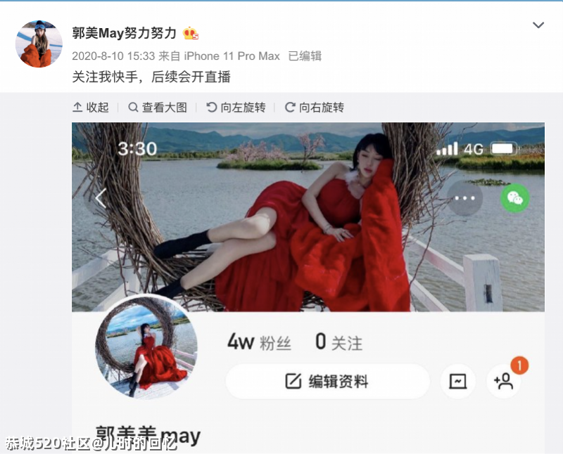 二进宫前的郭美美：整容炫富做微商，有一套“财富密码”327 / 作者:儿时的回忆 / 帖子ID:284270
