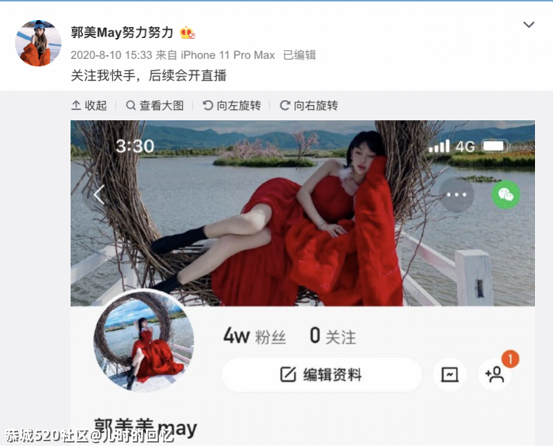 二进宫前的郭美美：整容炫富做微商，有一套“财富密码”72 / 作者:儿时的回忆 / 帖子ID:284270