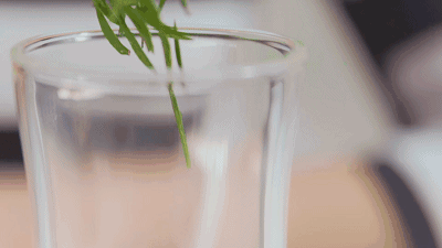 每天喝茶的人身体好在哪？50万人随访研究：血糖、血管都得到保护723 / 作者:健康小天使 / 帖子ID:284384