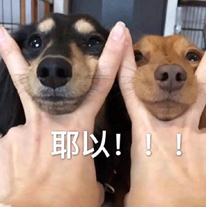 新冠疫苗第二针约不上，第一针就白打了吗？这8个谣言千万别信！356 / 作者:健康小天使 / 帖子ID:284565