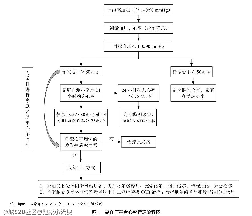 心跳超过80次/分就该找医生，高血压患者有个最佳心率759 / 作者:健康小天使 / 帖子ID:284858