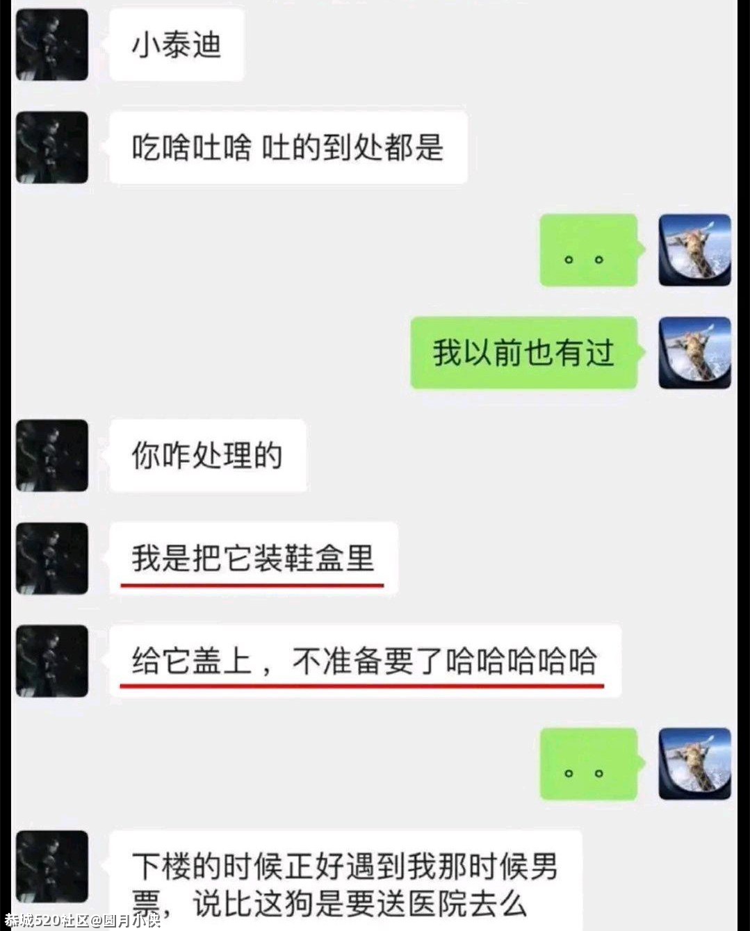 郑爽，活该！120 / 作者:圆月小侠 / 帖子ID:284906