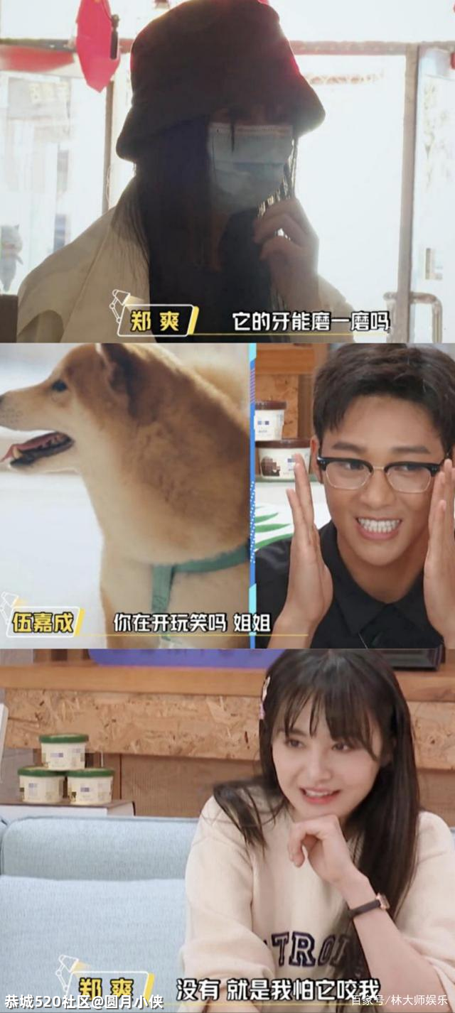 郑爽，活该！738 / 作者:圆月小侠 / 帖子ID:284906