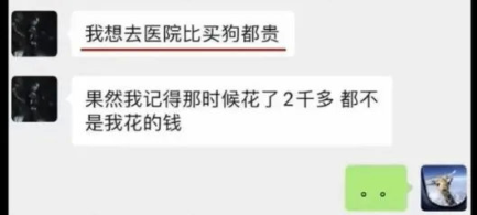 郑爽，活该！813 / 作者:圆月小侠 / 帖子ID:284906