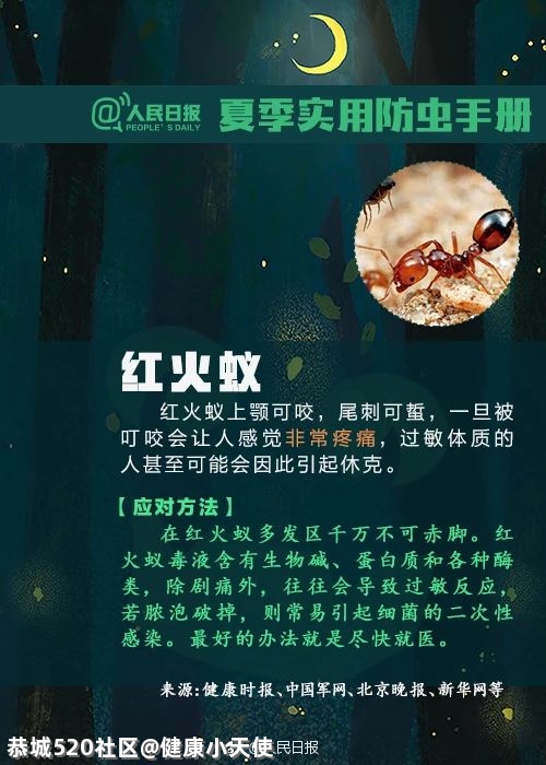 被这种虫子咬一口，女子窒息身亡！被咬后千万别这样做190 / 作者:健康小天使 / 帖子ID:284923