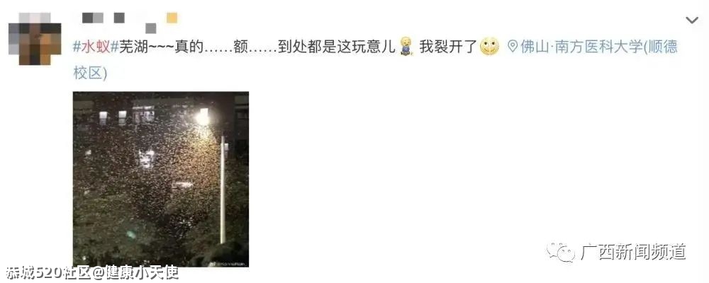 关门关窗关灯！近期多出现这个小虫，铺天盖地！危害还不小→269 / 作者:健康小天使 / 帖子ID:285044