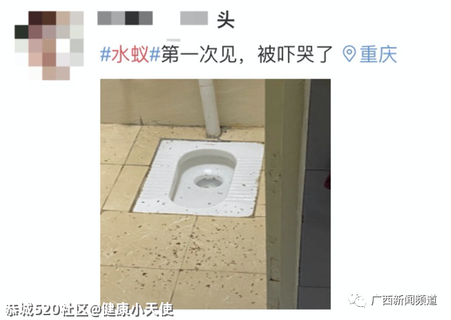 关门关窗关灯！近期多出现这个小虫，铺天盖地！危害还不小→323 / 作者:健康小天使 / 帖子ID:285044