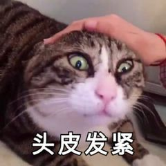 关门关窗关灯！近期多出现这个小虫，铺天盖地！危害还不小→604 / 作者:健康小天使 / 帖子ID:285044