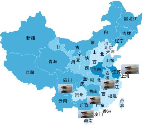 关门关窗关灯！近期多出现这个小虫，铺天盖地！危害还不小→26 / 作者:健康小天使 / 帖子ID:285044