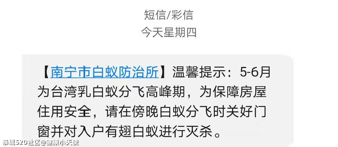 关门关窗关灯！近期多出现这个小虫，铺天盖地！危害还不小→423 / 作者:健康小天使 / 帖子ID:285044