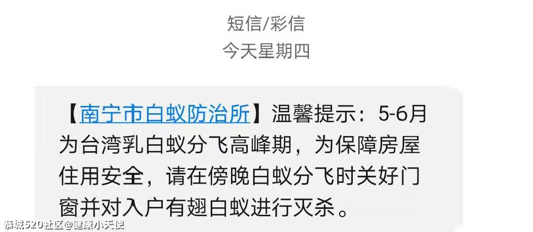 关门关窗关灯！近期多出现这个小虫，铺天盖地！危害还不小→562 / 作者:健康小天使 / 帖子ID:285044