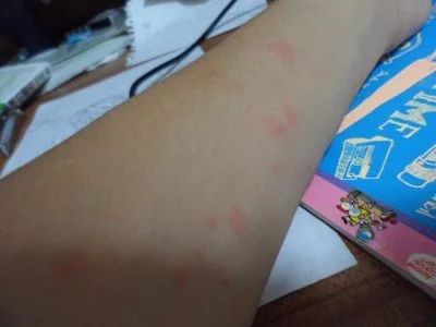 关门关窗关灯！近期多出现这个小虫，铺天盖地！危害还不小→258 / 作者:健康小天使 / 帖子ID:285044