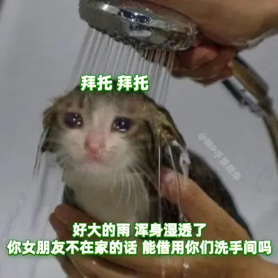 让全网一夜阴阳怪气，只需要“心疼哥哥”四个字401 / 作者:儿时的回忆 / 帖子ID:285289