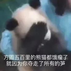 螺蛳粉背后，中国崛起的大秘密87 / 作者:儿时的回忆 / 帖子ID:285384
