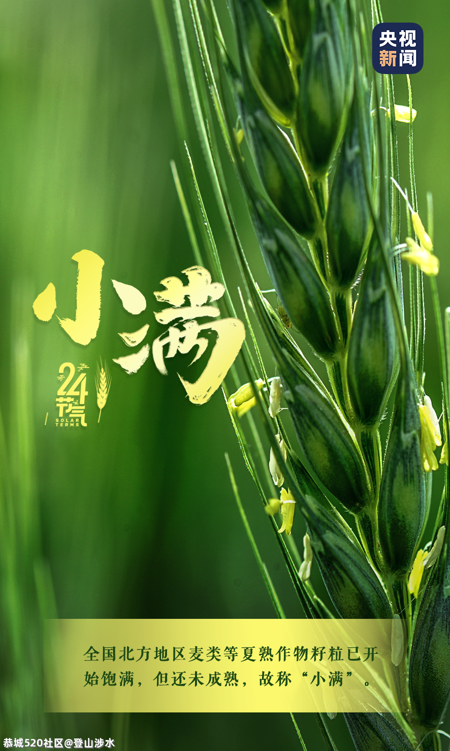 小满到，愿你笑容满满~448 / 作者:登山涉水 / 帖子ID:285463